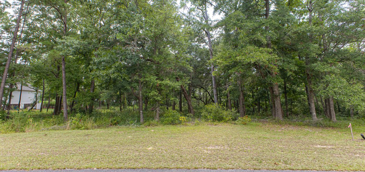 3320 Regal Isle (Lot available for custom build)